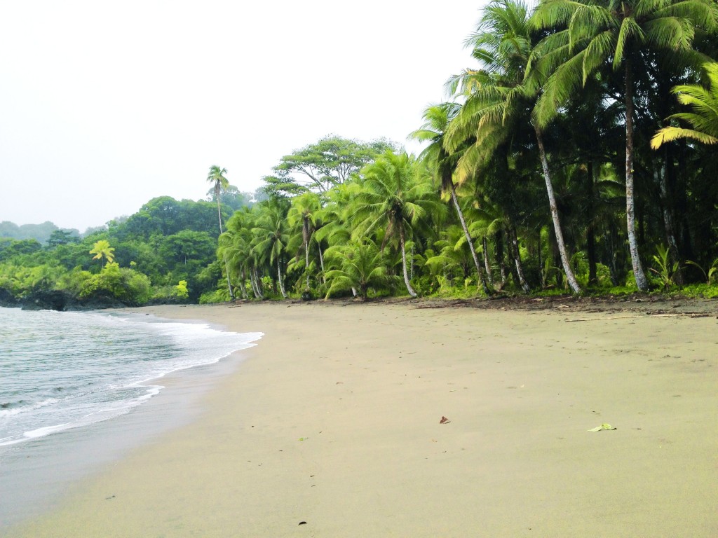 Strand Nuqui Choco Kolumbien