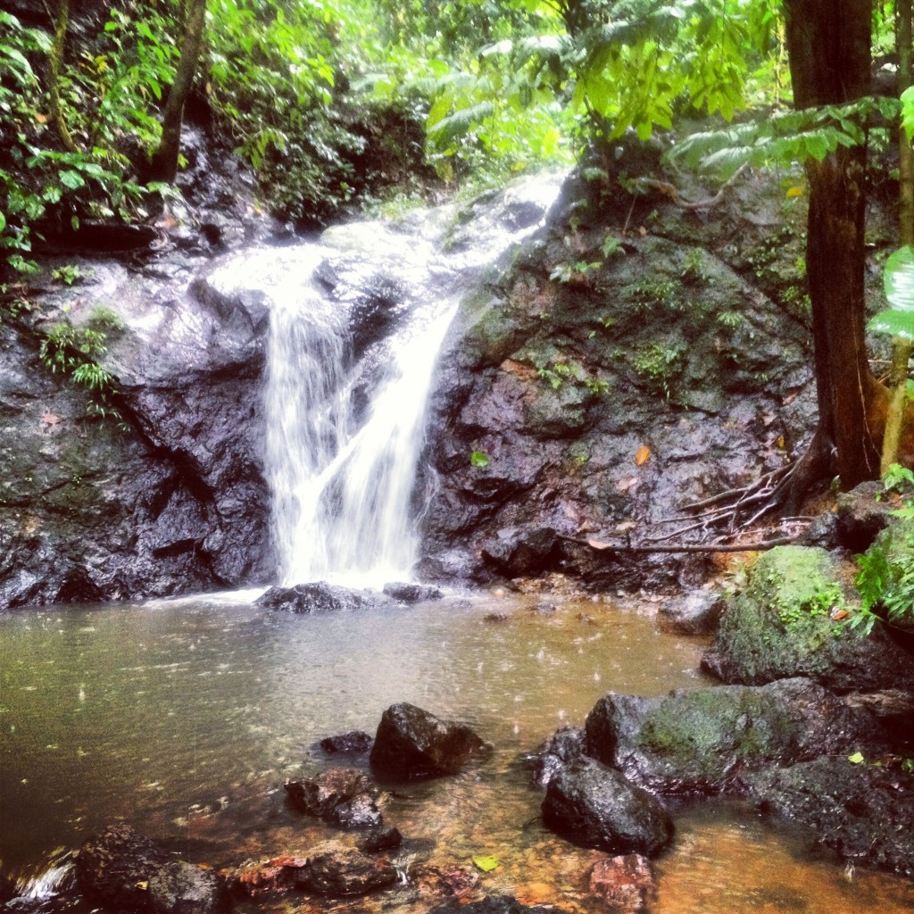 Cascada del Amor Nuqui