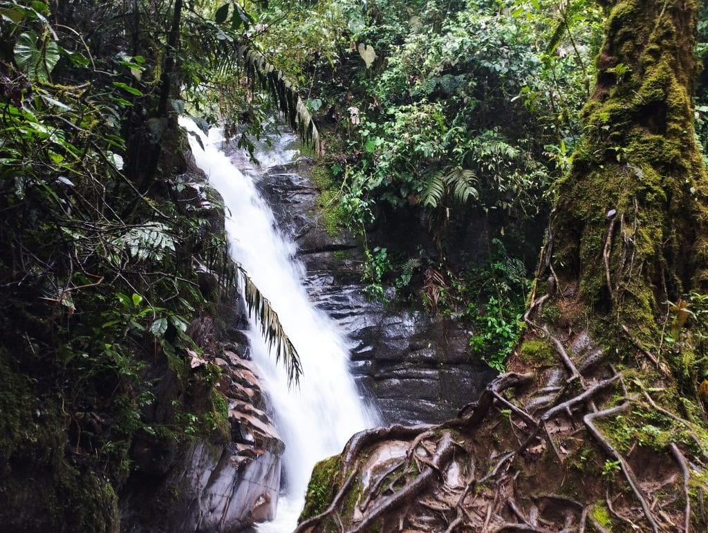 Santa Rita Reserva Natural