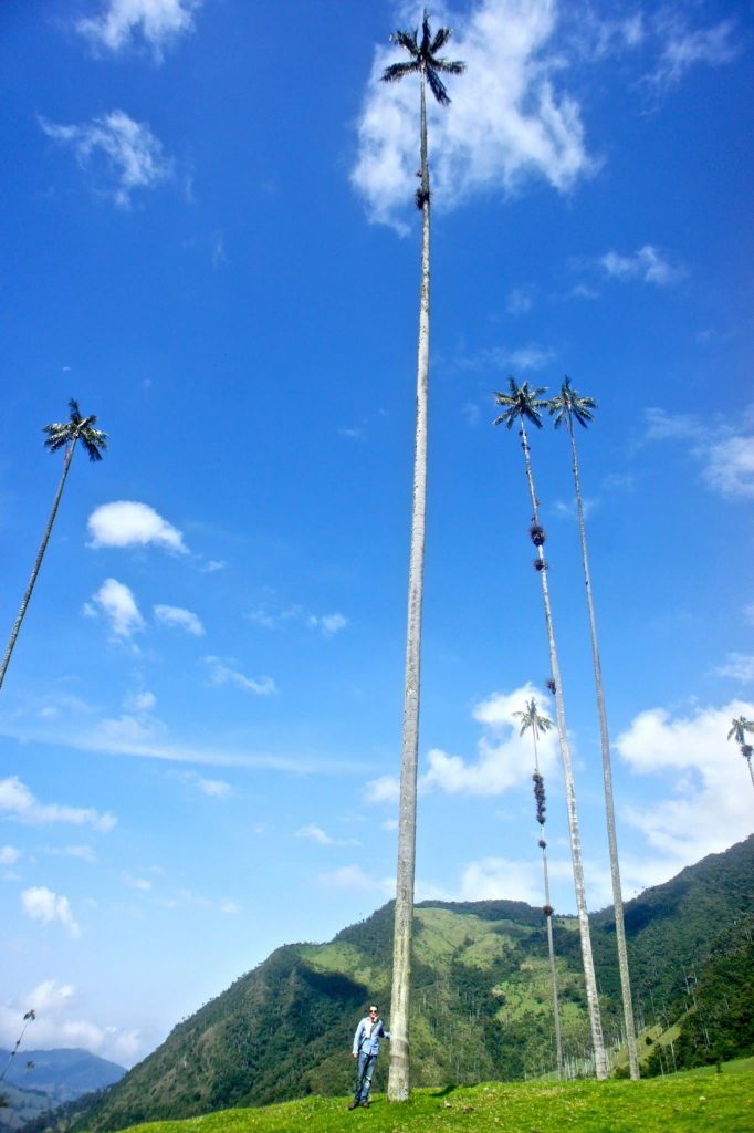 Valle de Cocora Kolumbien