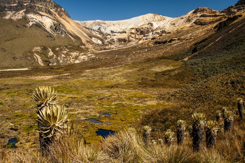 Los Nevados Nationalpark Kolumbien