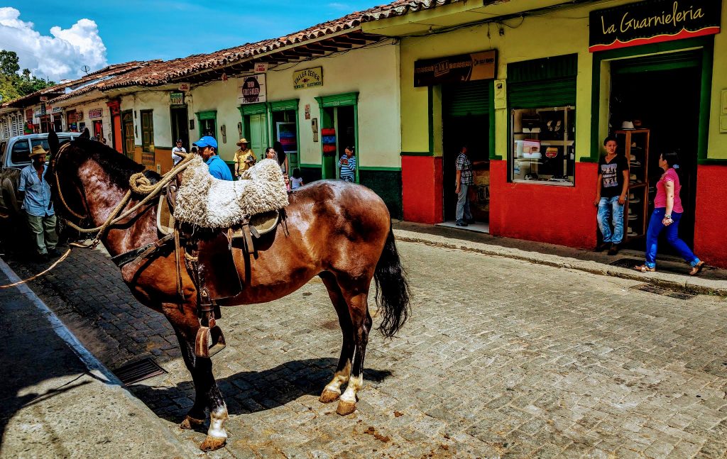 Pferd geparkt Kolumbienreise